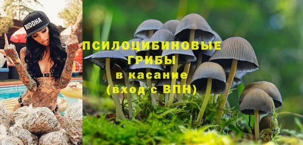 кокаин колумбия Новозыбков