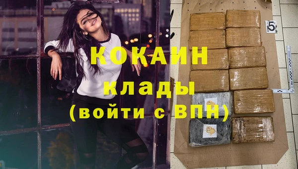 гидра Нея