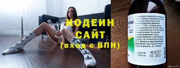 гидра Нея