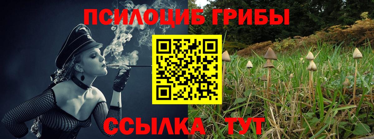 Псилоцибиновые грибы прущие грибы  Изобильный 